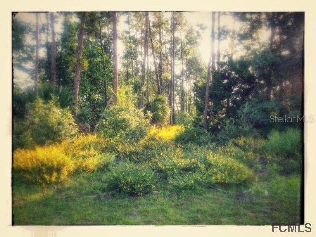 95 Freemont Turn, Palm Coast, FL 32137