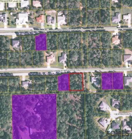 88 Slumber Meadow Tr., Palm Coast, FL 32164