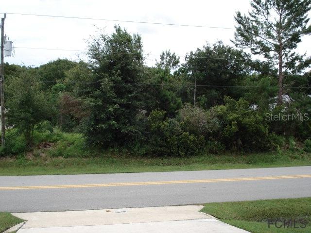 32 Farnsworth St., Palm Coast, FL 32137