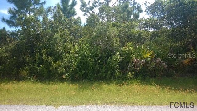 16 Fitzgerald Ln., Palm Coast, FL 32137