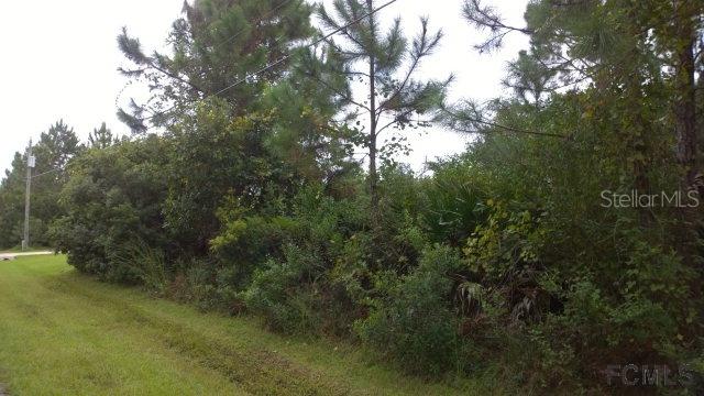 26 Larkspur Way, Palm Coast, FL 32137