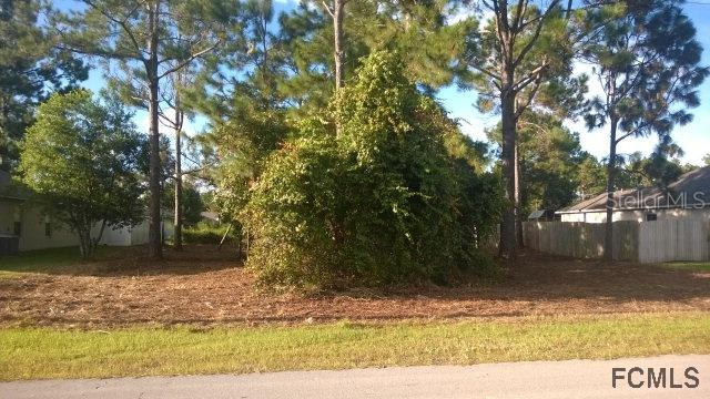 13 Wood Amber Ln., Palm Coast, FL 32164