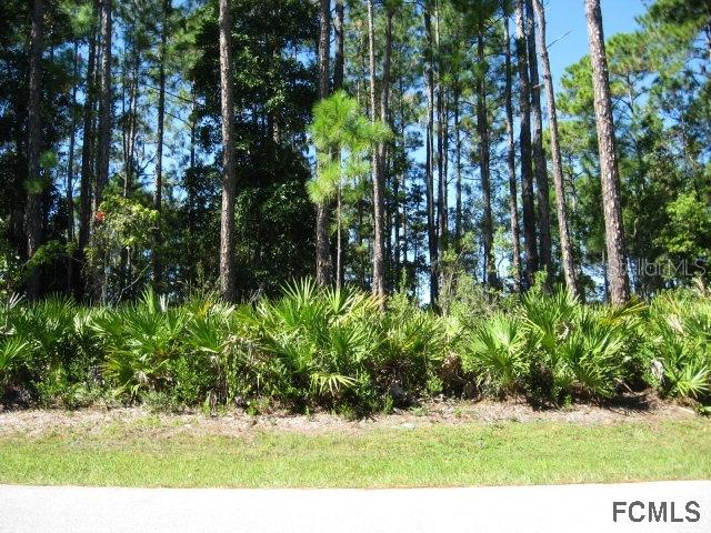 114 Edward Dr., Palm Coast, FL 32164