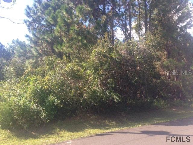 43 Fanshawe Ln., Palm Coast, FL 32137