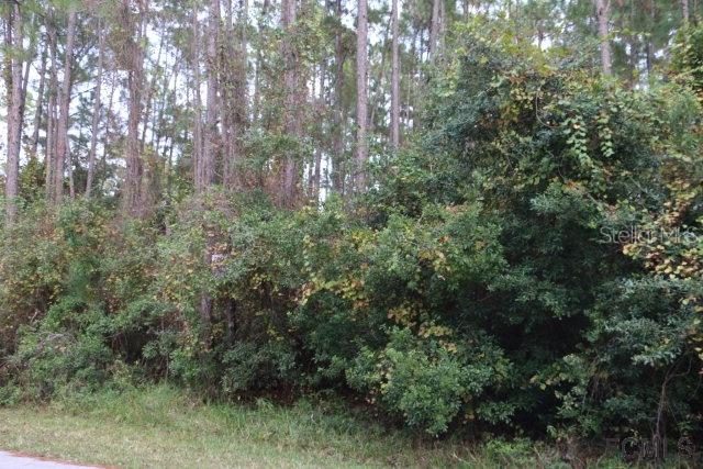 26 Wellham Ln., Palm Coast, FL 32164