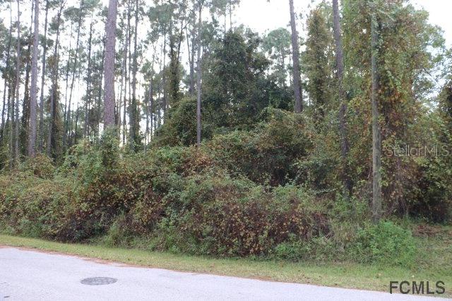 55 Wellhaven Ln., Palm Coast, FL 32164