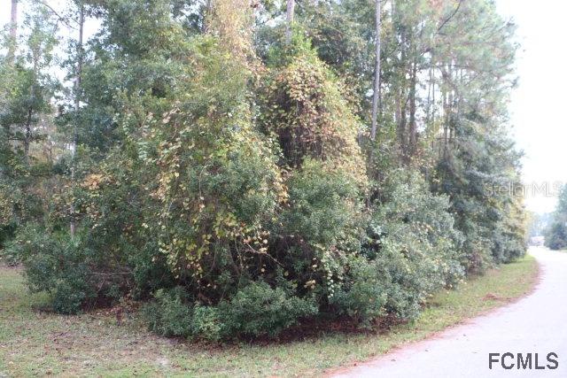 43 Wellham Ln., Palm Coast, FL 32164