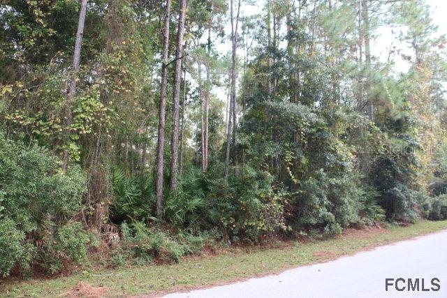 45 Wellham Ln., Palm Coast, FL 32164