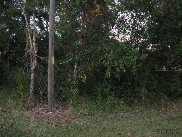 103 Fleetwood Dr., Palm Coast, FL 32137