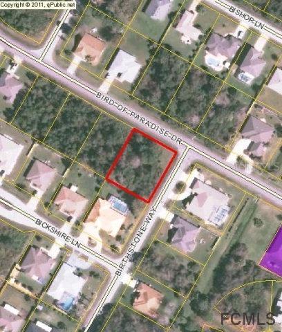 243 Bird Of Paradise Dr., Palm Coast, FL 32137