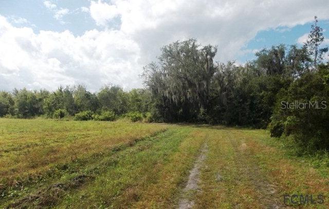 Proctor Rd., East Palatka, FL 32145