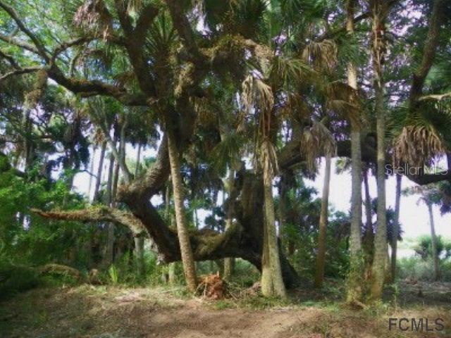 81 Riverwalk Dr., Palm Coast, FL 32137