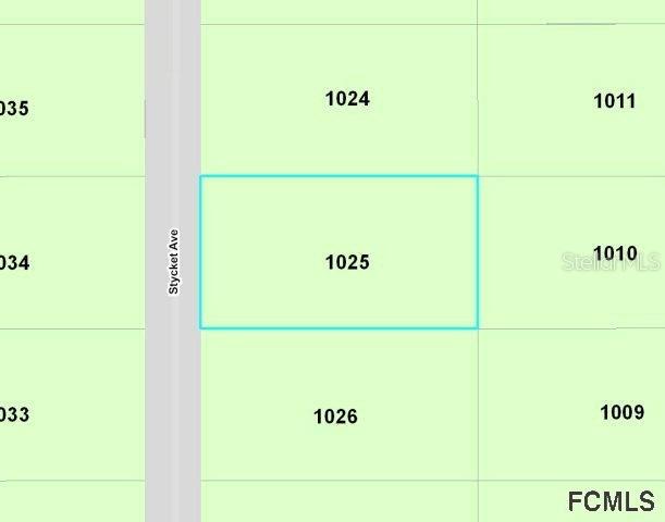 10310 Stycket Ave., Hastings, FL 32145
