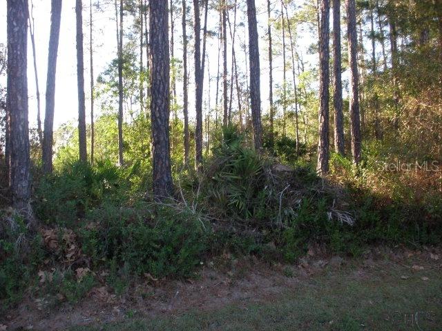 46 Edward Dr., Palm Coast, FL 32164