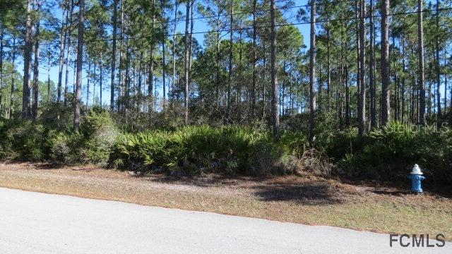 117 Laguna Forest Tr., Palm Coast, FL 32164