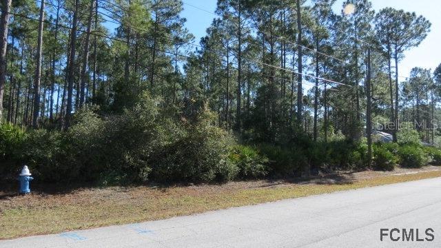 119 Laguna Forest Tr., Palm Coast, FL 32164