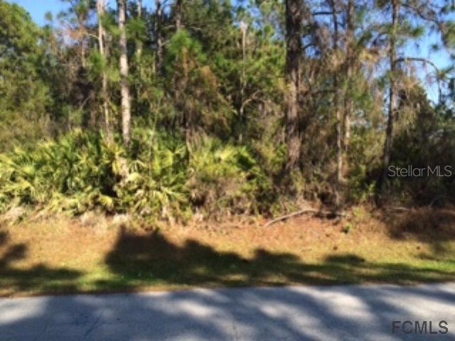 11 Evans Dr., Palm Coast, FL 32164