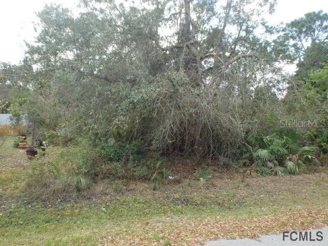 85 White Hall Dr., Palm Coast, FL 32164