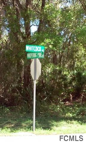 38 Whitcock Ln., Palm Coast, FL 32164