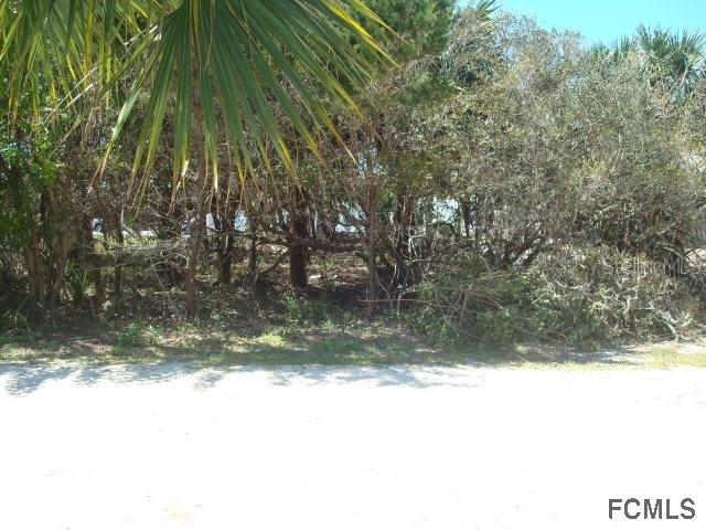 2727 S Daytona Ave., Flagler Beach, FL 32136