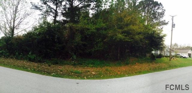 113 Frankford Ln., Palm Coast, FL 32137