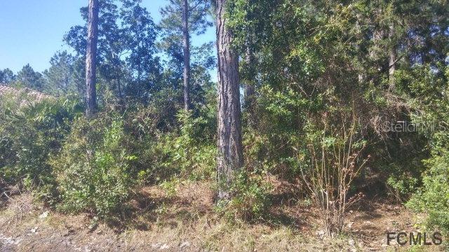 25 Wood Center Ln., Palm Coast, FL 32164