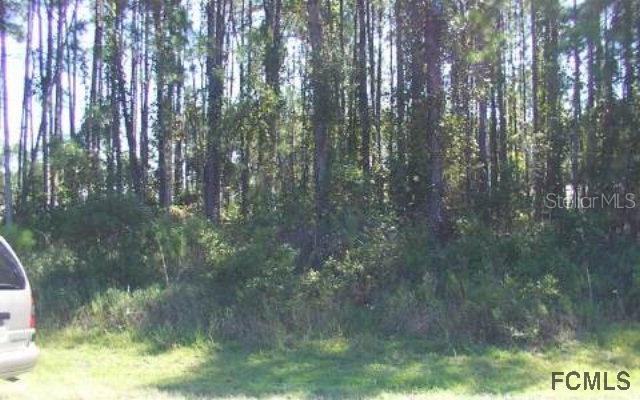 72 Forsythe Ln., Palm Coast, FL 32137