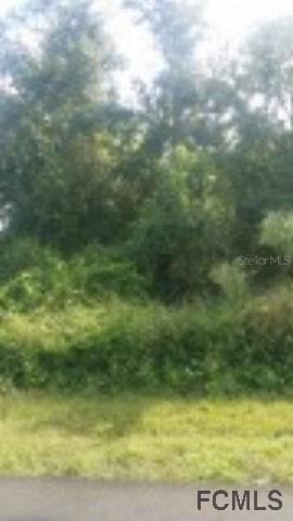 80 Forrester Pl., Palm Coast, FL 32137