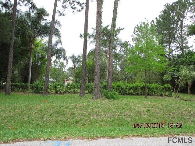 62 Burning Bush Dr., Palm Coast, FL 32164