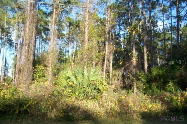 59 Riviere Ln., Palm Coast, FL 32164