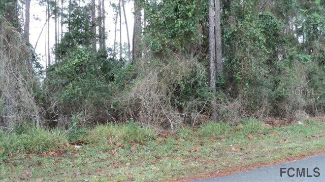 12 Big Dipper Ln., Palm Coast, FL 32164