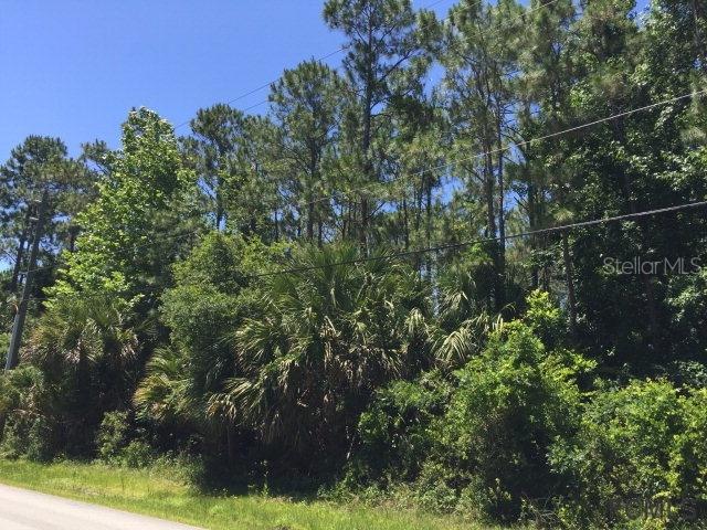 296 Westhampton Dr., Palm Coast, FL 32137