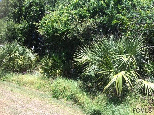 17 Deerwood St., Palm Coast, FL 32137
