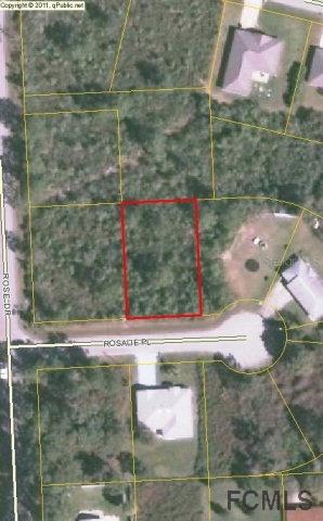 3 Rosalie Pl., Palm Coast, FL 32164