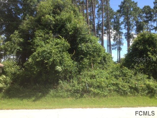 21 Bud Shire Ln., Palm Coast, FL 32137