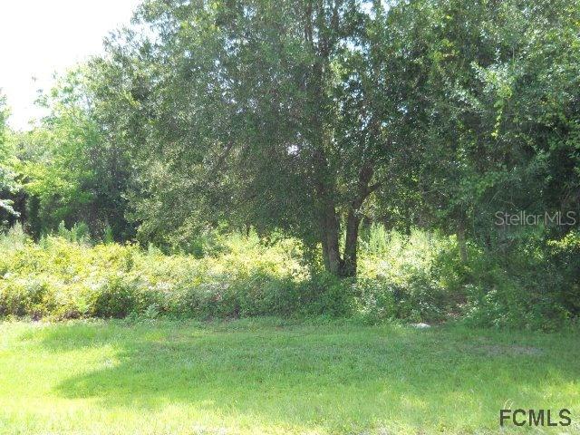 227 Birchwood Dr., Palm Coast, FL 32137