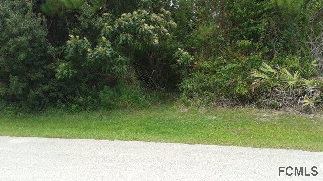 12 Burton Pl., Palm Coast, FL 32137