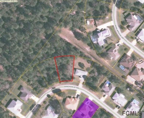 15 Pineapple Dr., Palm Coast, FL 32164