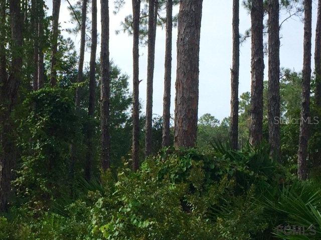 55 Esperanto Dr., Palm Coast, FL 32164