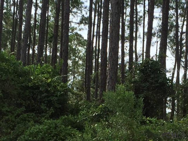 57 Esperanto Dr., Palm Coast, FL 32164