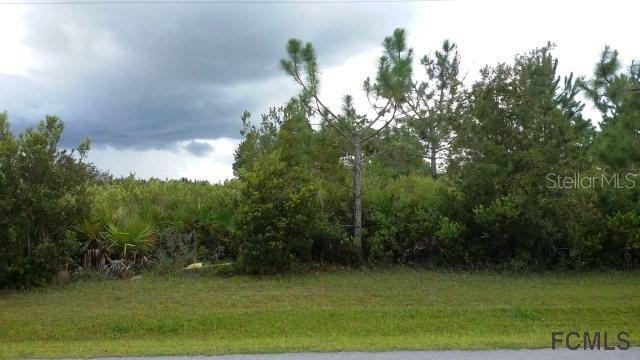 31 Buffalo Meadow Ln., Palm Coast, FL 32164