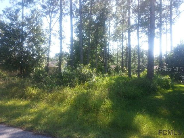 41 Kankakee Tr., Palm Coast, FL 32164
