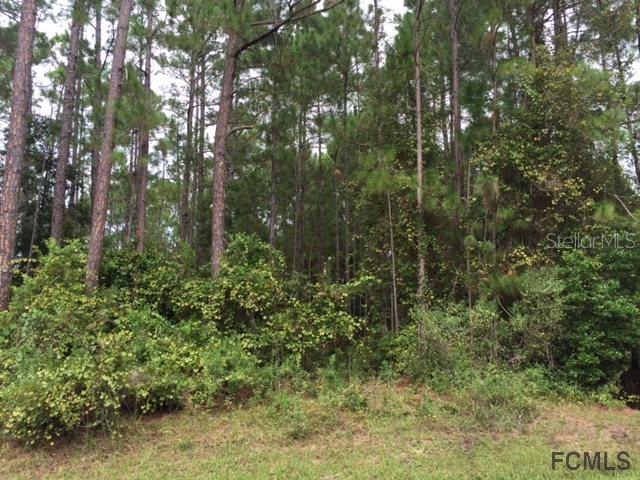 10 Edgemont Ln., Palm Coast, FL 32164