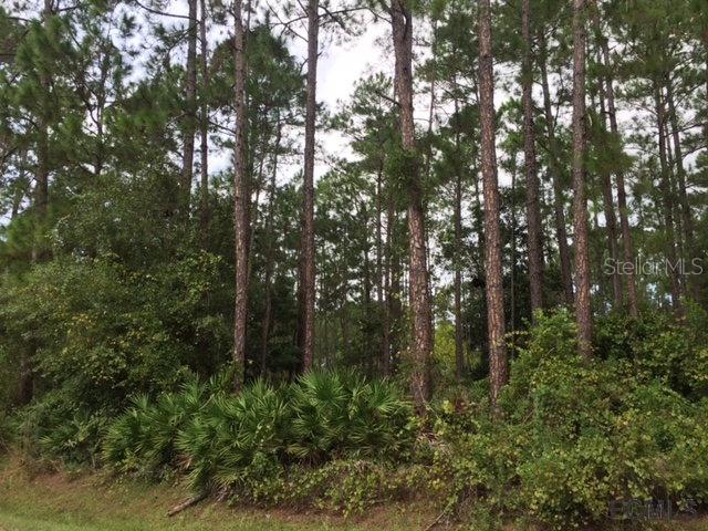 12 Edgemont Ln., Palm Coast, FL 32164