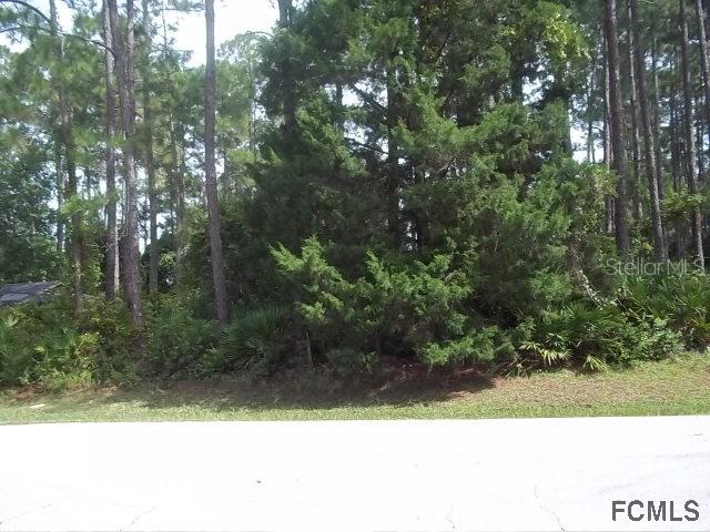 71 Eric Dr., Palm Coast, FL 32164