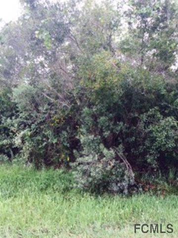 38 Louisville Dr., Palm Coast, FL 32137