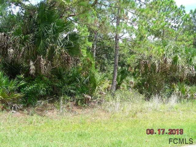 20 Rancher Pl., Palm Coast, FL 32164