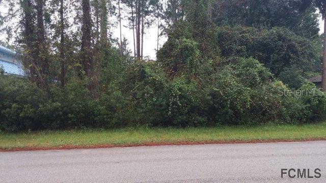 30 Bridgehaven Dr., Palm Coast, FL 32137