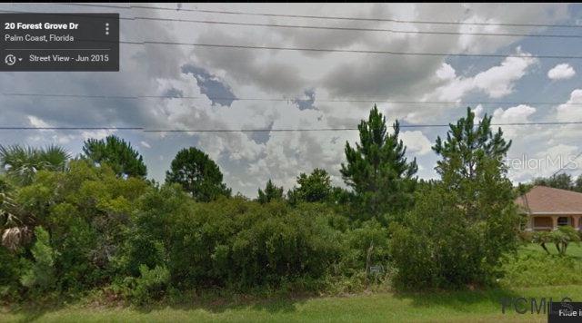 20 Forest Grove Dr., Palm Coast, FL 32137