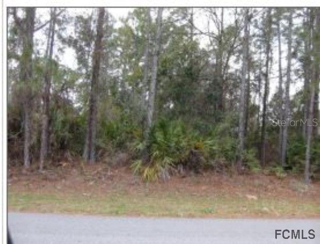 19 Zodiacal Pl., Palm Coast, FL 32164